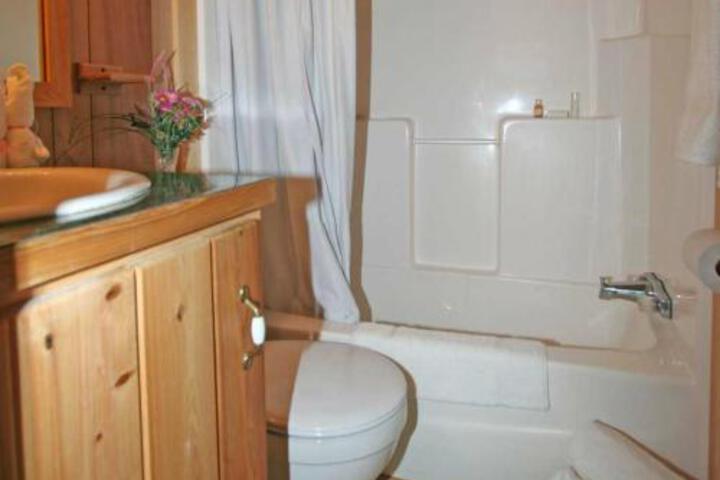 Robin Hill Camping Resort Premium Cottage 12 in Lenhartsville, NY