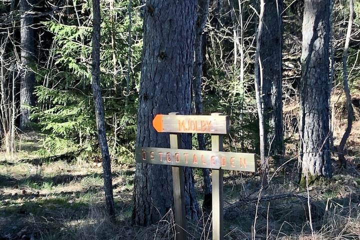 Hiking