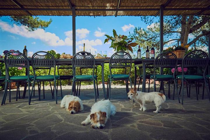 Pet Friendly 49 of 77