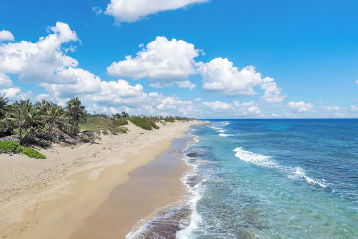 Beach 80 of 101