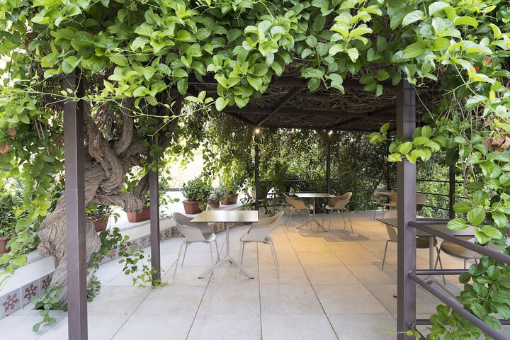 Terrace/Patio 33 of 35