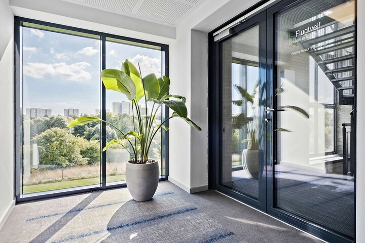 Entrance & Lobby