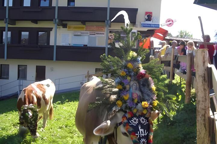 Spa and Wellness Pictures