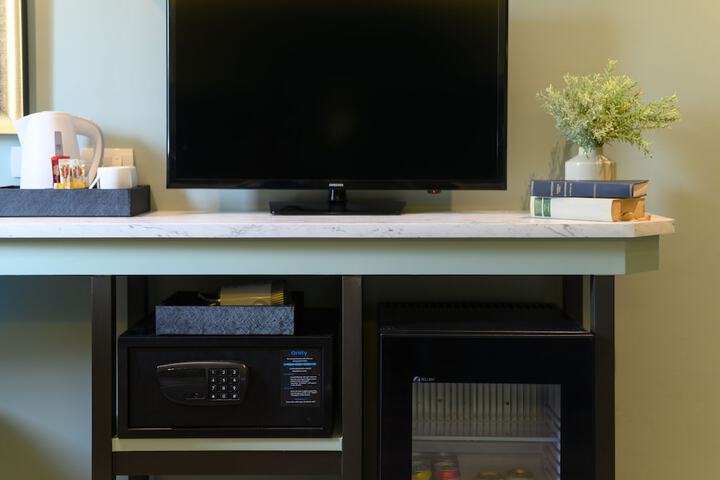 Television