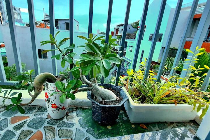 Terrace/Patio 39 of 73