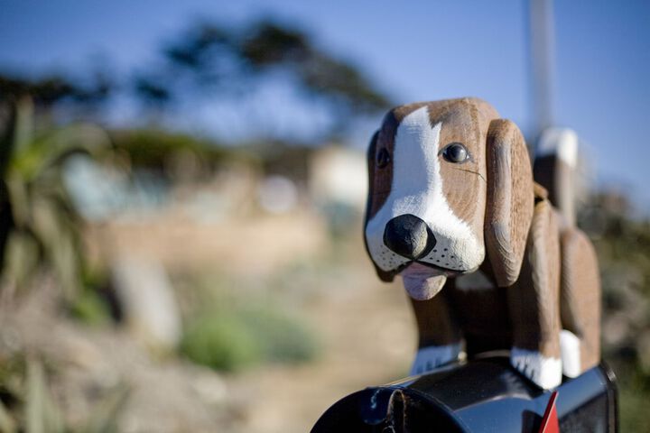 Pet Friendly 25 of 41