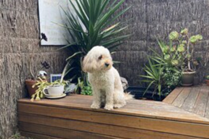 Terrace/Patio 154 of 243