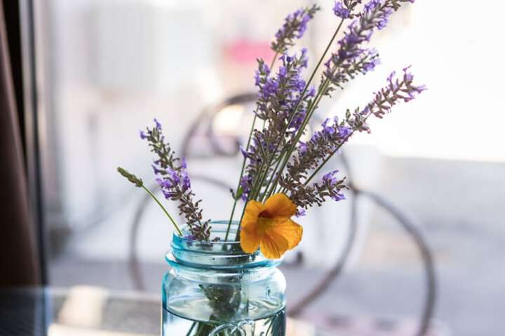 Hotel Interior 10 of 13