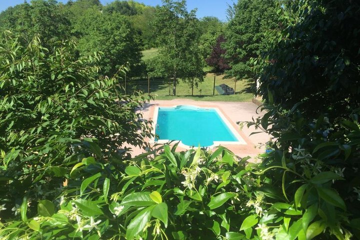 Photo 7