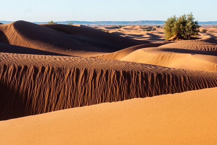 Desert Bivouac in M'Hamid El Ghizlane