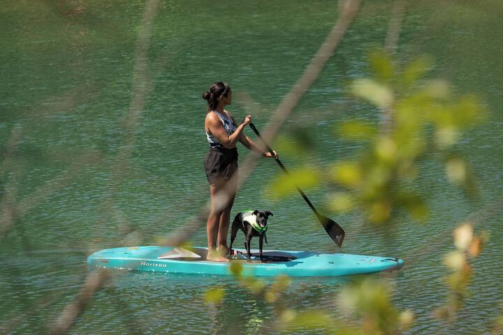 Pet Friendly 79 of 120