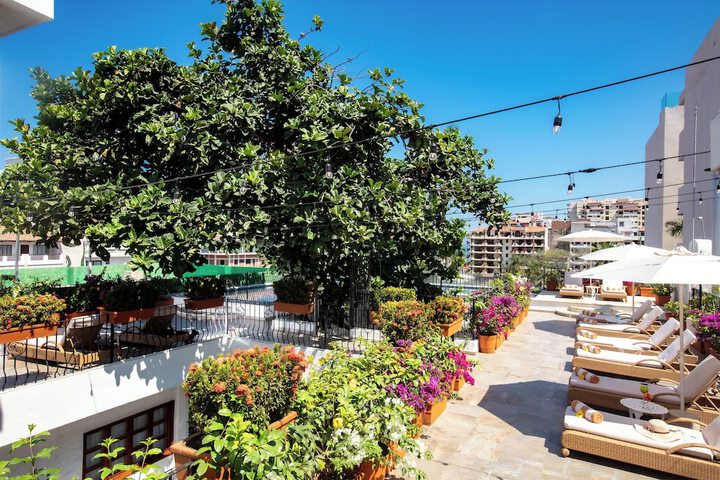 Rooftop terrace