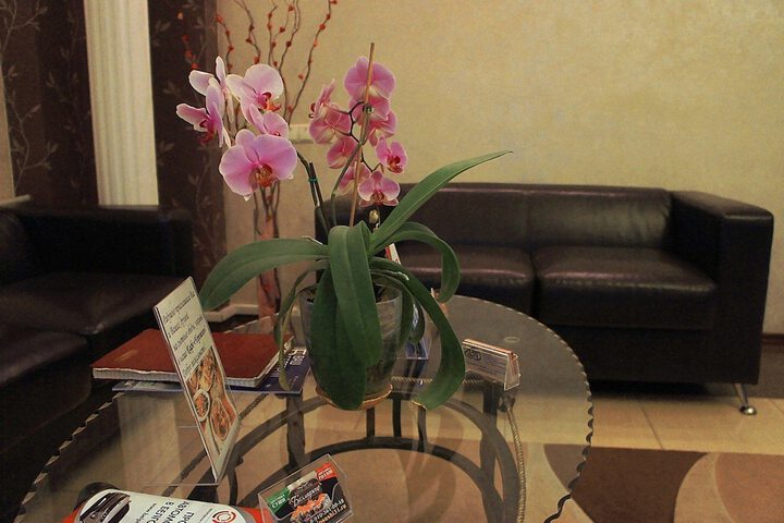 Hotel Interior 4 of 62