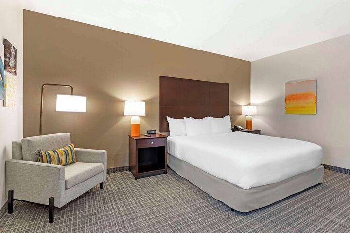 1 King Bed (6 of 20)