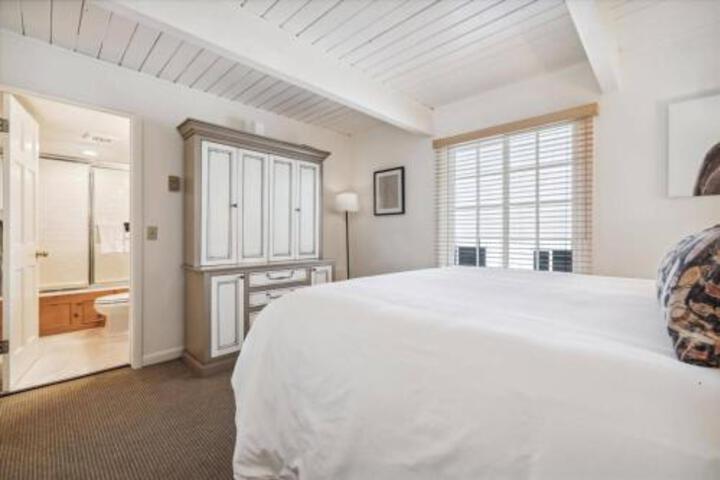 731 E. Durant Ave Apartment Unit 11 Apts in Aspen, CO