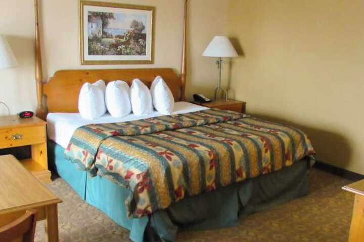 Room 10 of 81