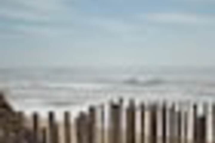 Beach 143 of 150