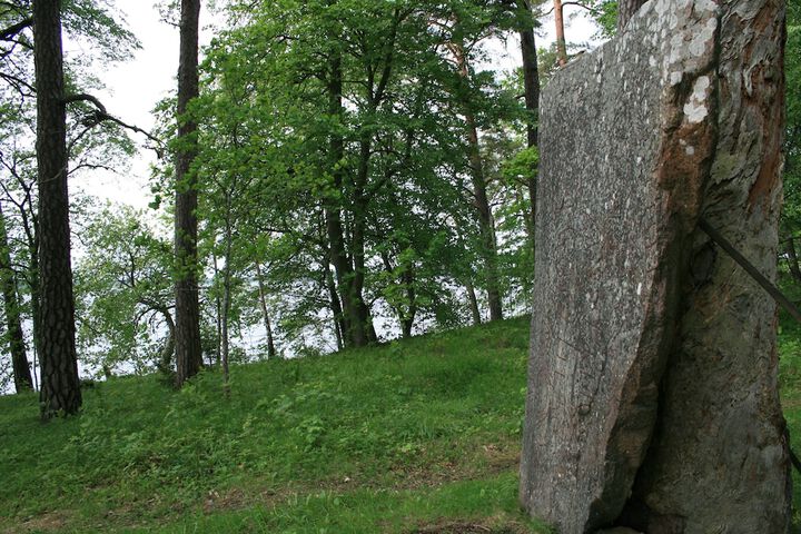 Hiking