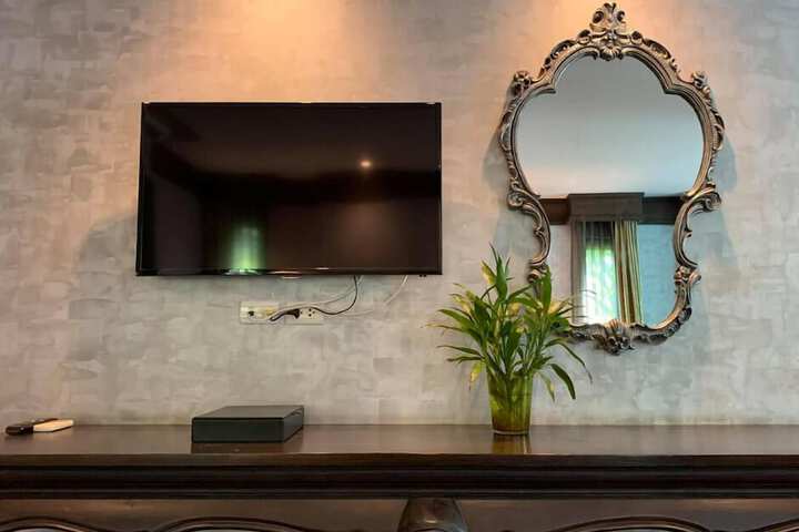 Television