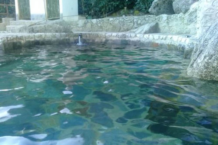Pool 8 of 35