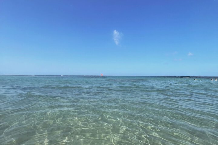 Beach 89 of 109