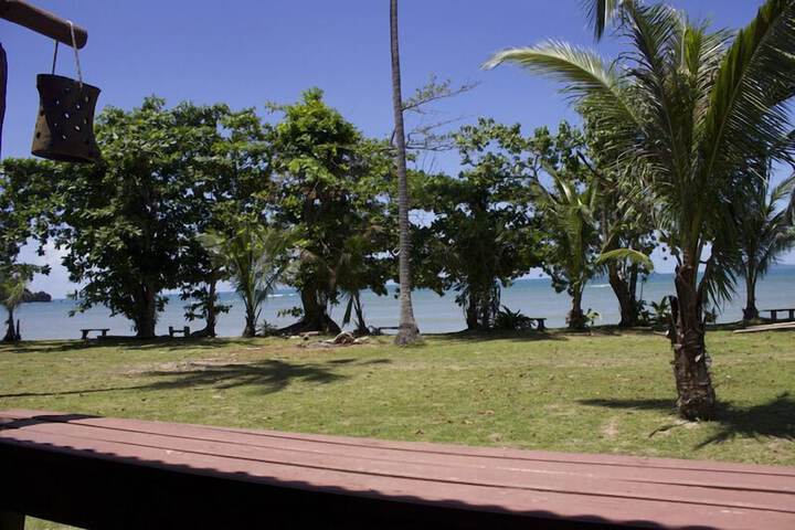 Property Grounds 25 of 50