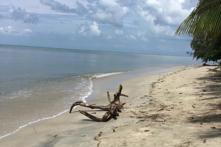 Beach 40 of 55