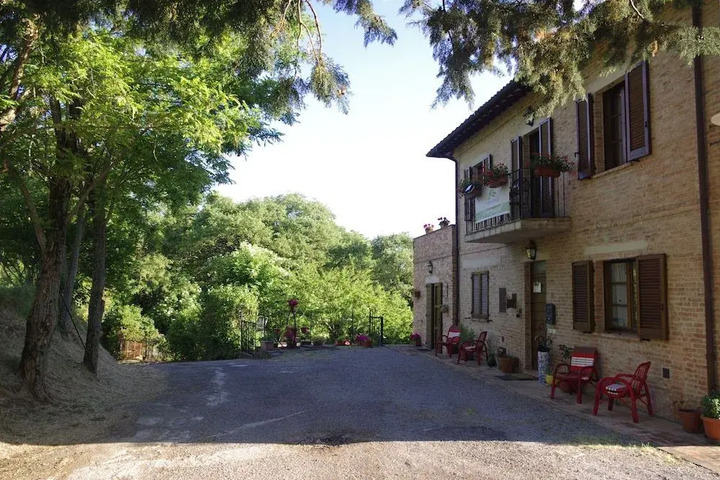 Photo 16
