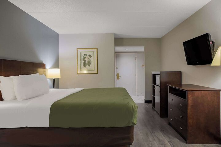 1 King Bed (6 of 20)