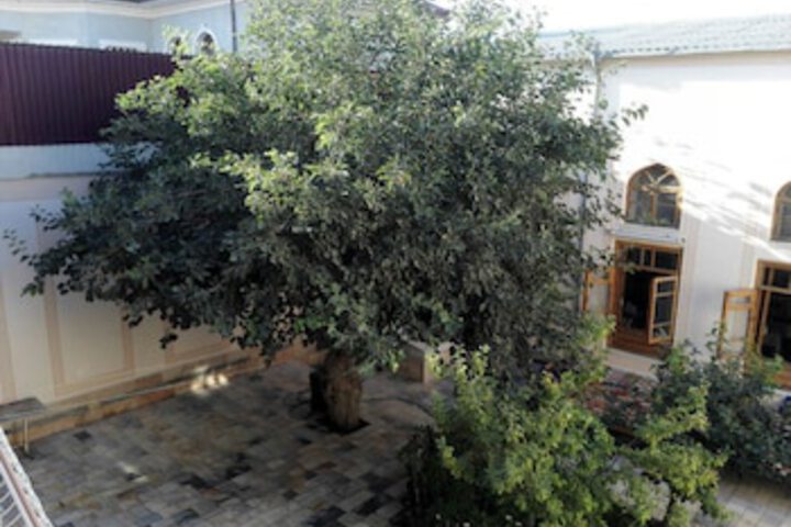 Terrace/Patio 22 of 22