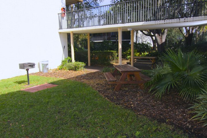 BBQ/picnic area