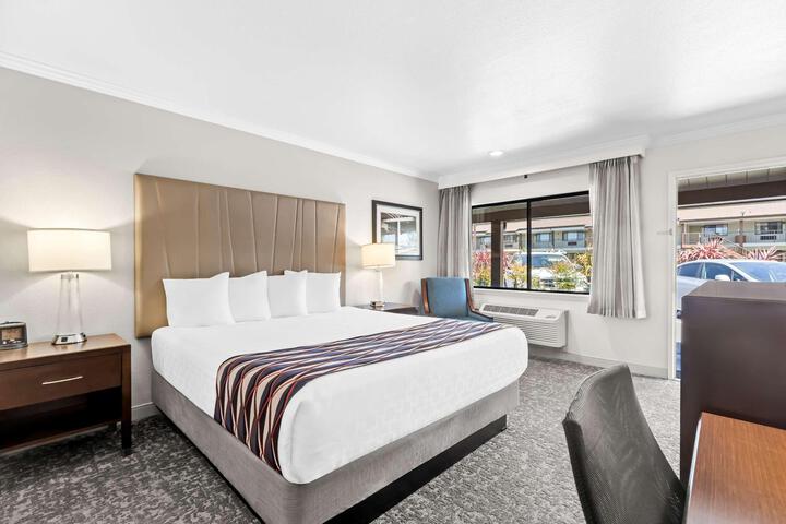 1 King Bed Larger Room, Microwave, Refrigerator High Speed Internet Accessible (1 of 18)