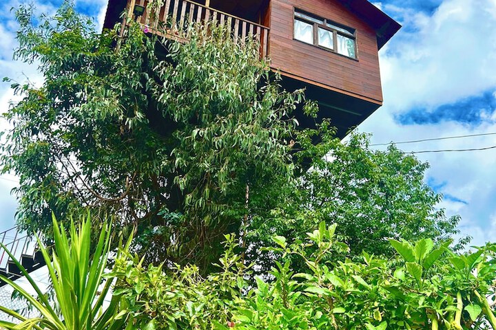 Casita Del Arbol Trini By GEstores in Omitlán de Juárez