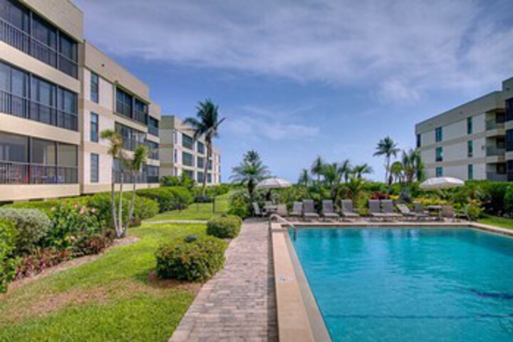 Photo of Kings Crown 317