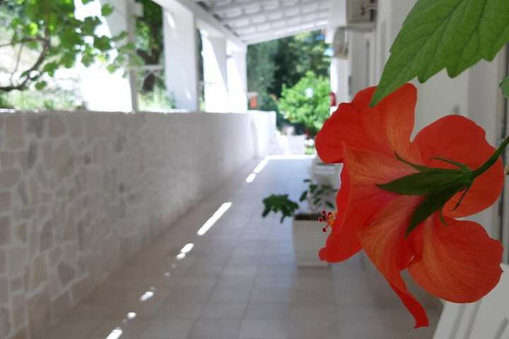 Terrace/Patio 17 of 54