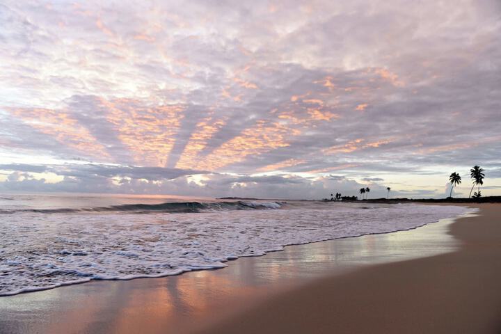 Beach 131 of 147