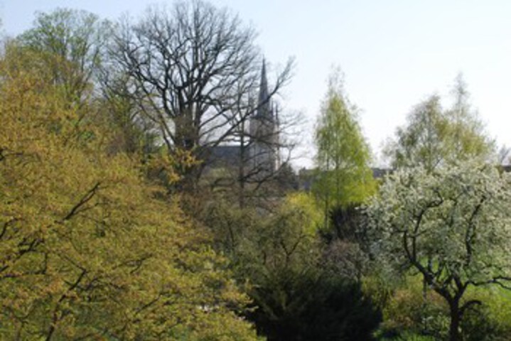 Spa and Wellness Pictures