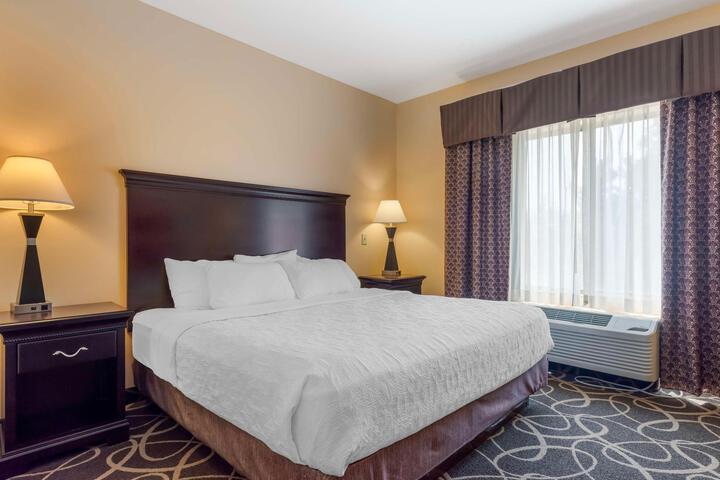 1 King Bed Accessible (14 of 16)