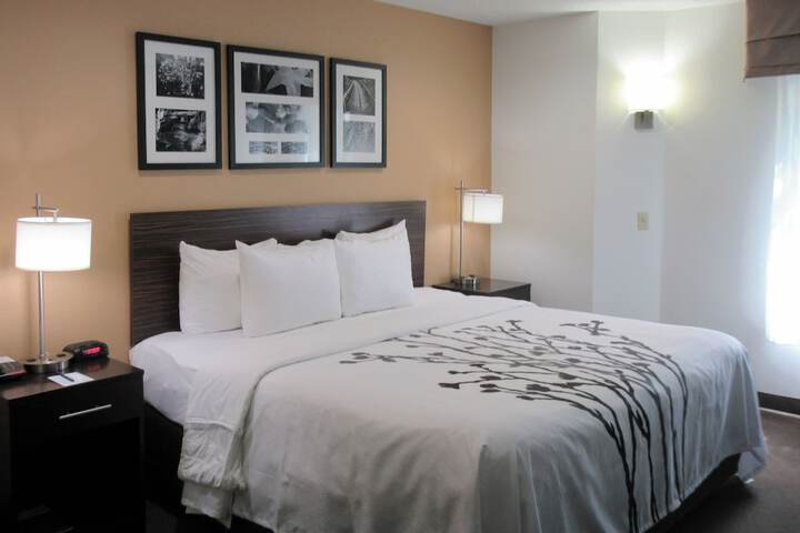 1 Queen Bed (6 of 10)