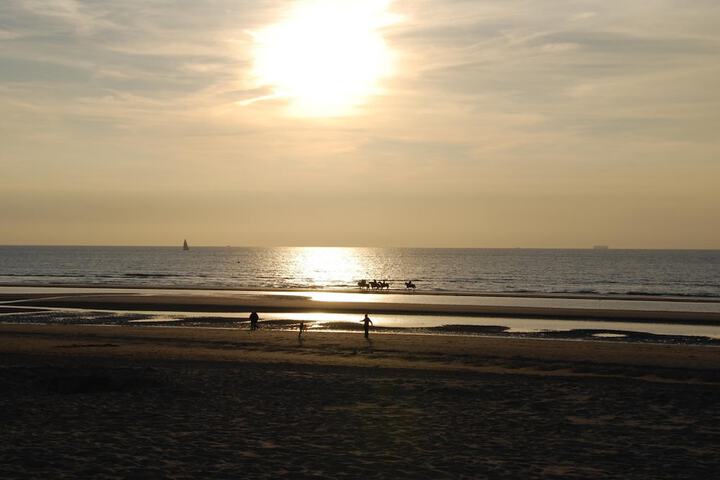 Beach 56 of 59