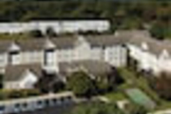 Primary image