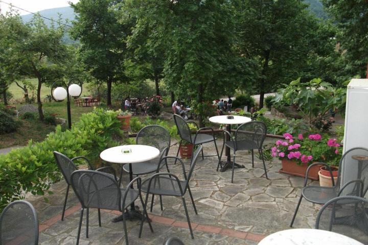 Photo 16