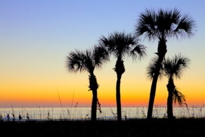 Beach 14 of 82