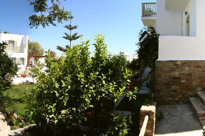 Photo 25