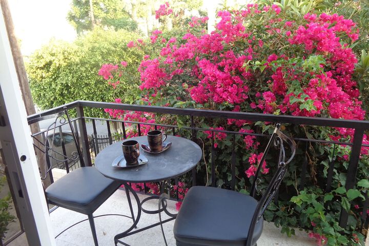 Terrace/Patio 48 of 61