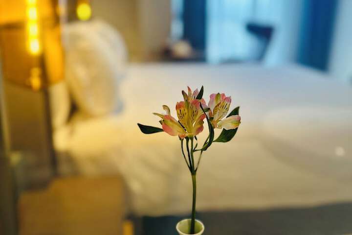 Room 20 of 51