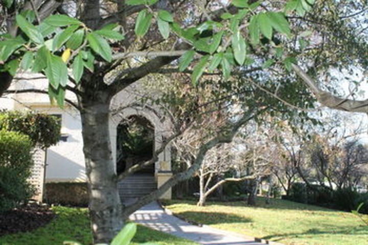 Property Grounds 25 of 27