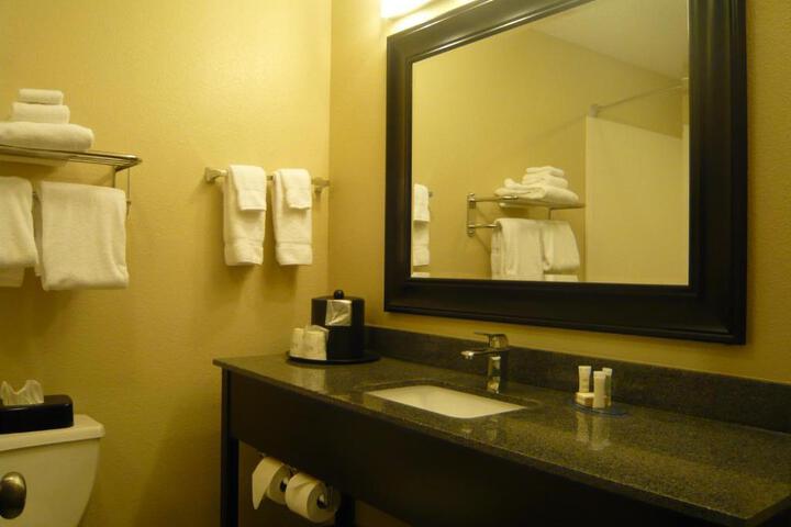 1 King Bed Deluxe Room Jetted Tub (3 of 5)