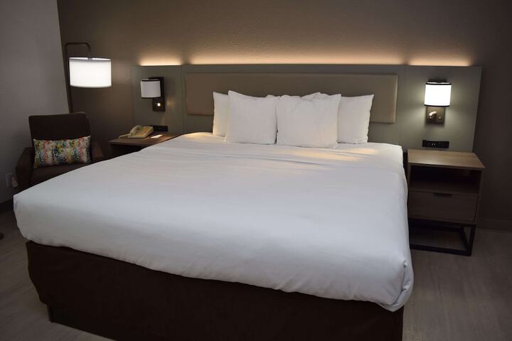 1 King Bed (3 of 16)