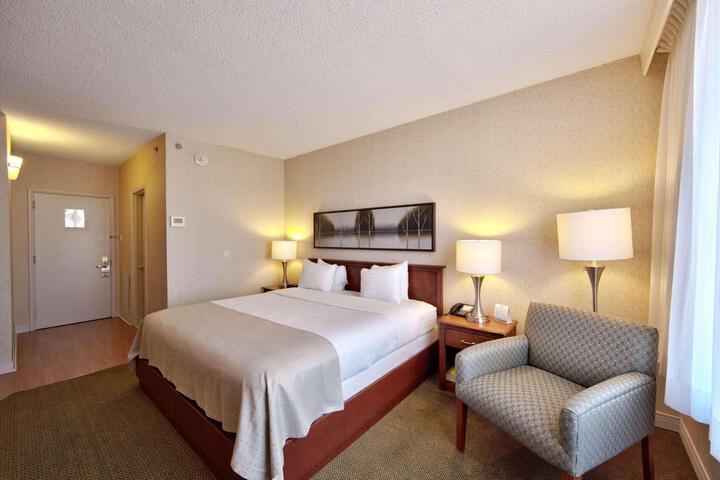 Standard Room, King or Two Doubles (15 of 15)